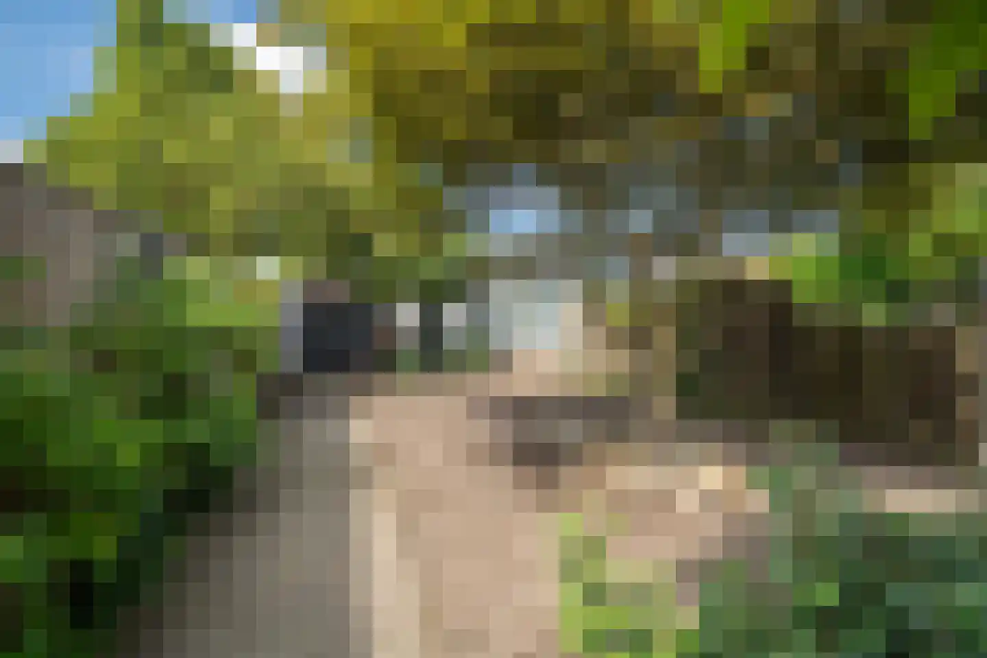 Elferinksweg 50 Enschede thumbnail 32