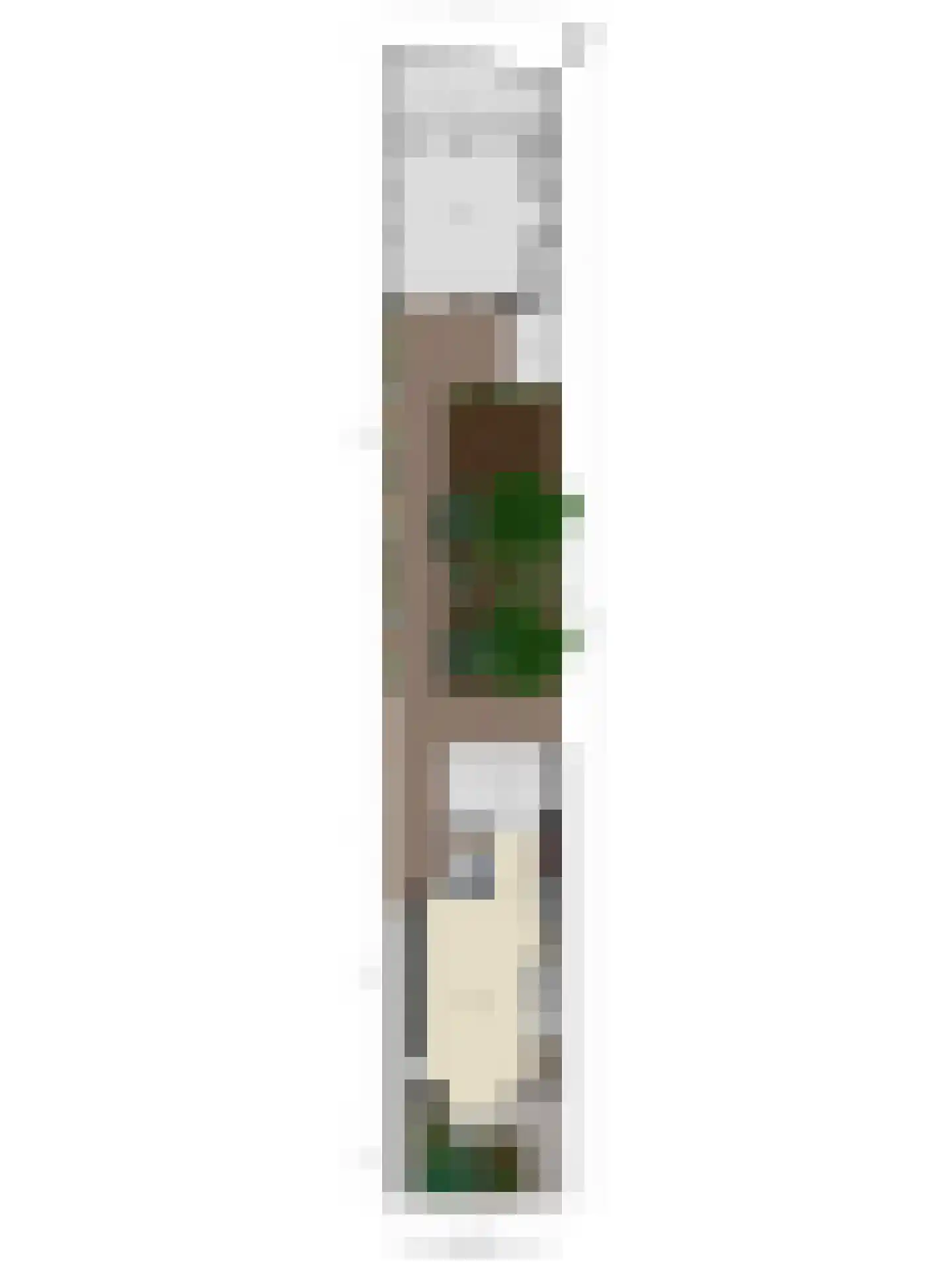 Elferinksweg 50 Enschede thumbnail 38