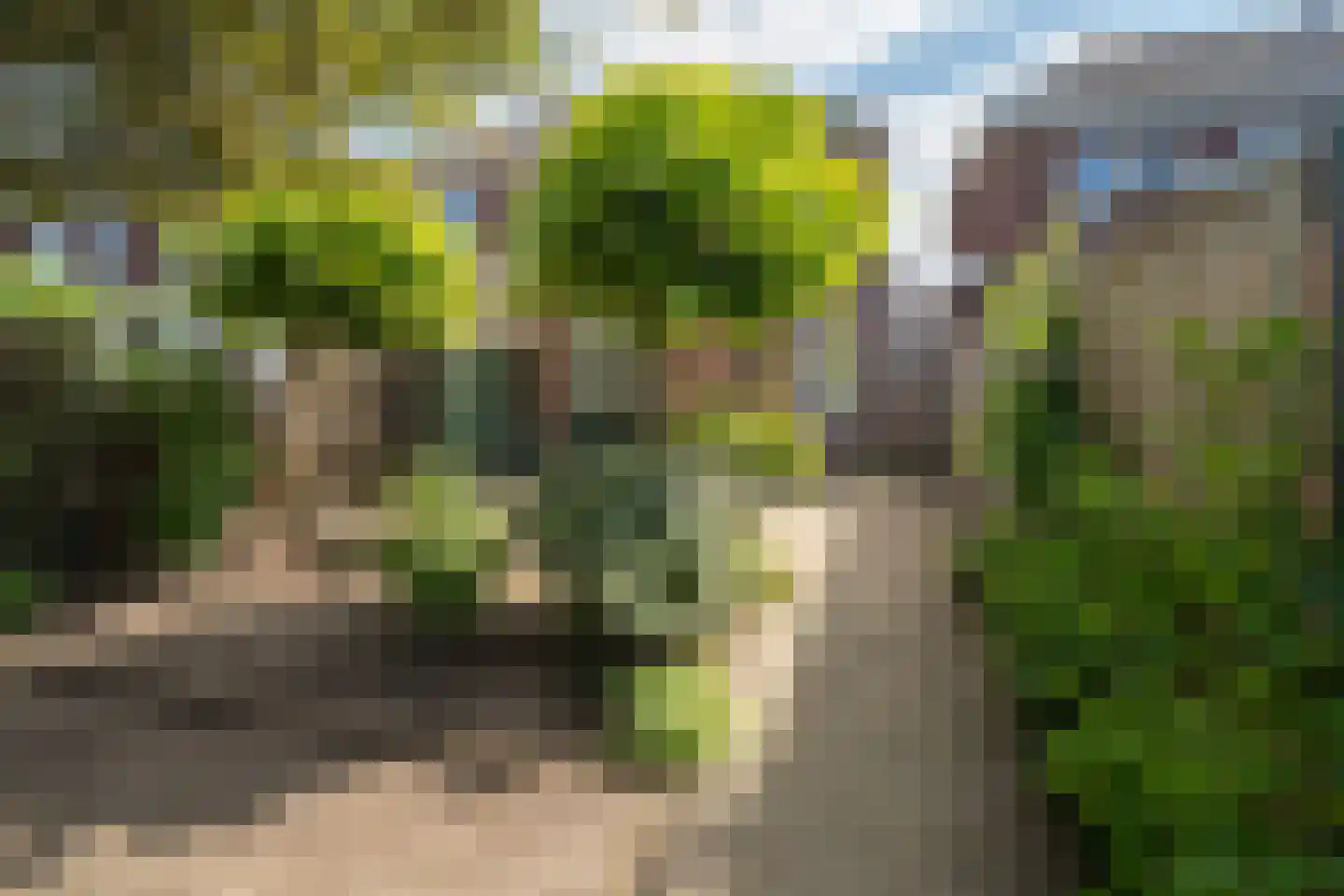 Elferinksweg 50 Enschede thumbnail 5