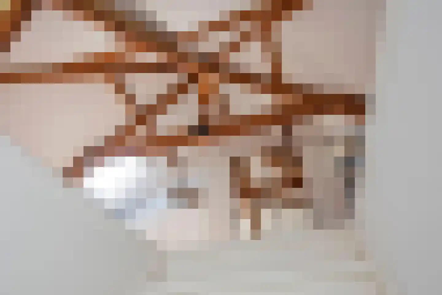 Elferinksweg 65 Enschede thumbnail 37