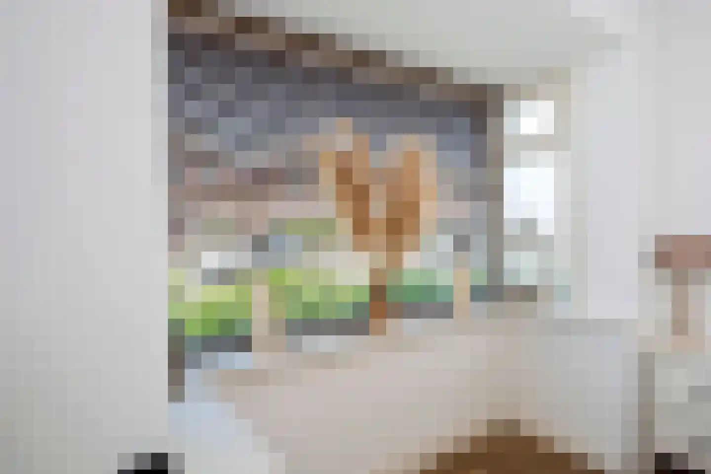 Elferinksweg 65 Enschede thumbnail 8