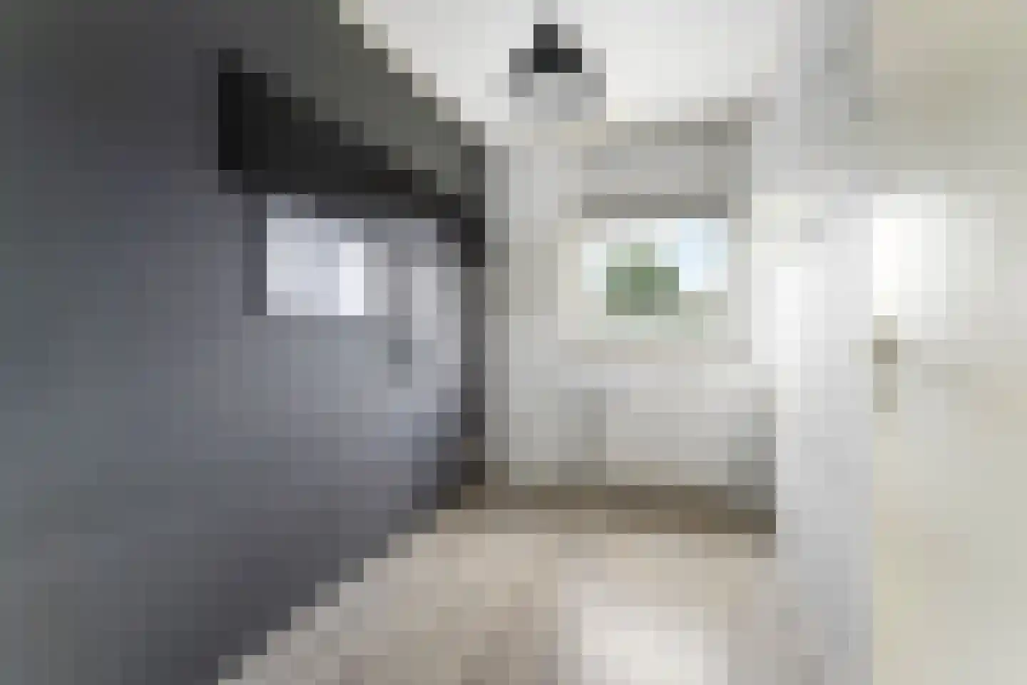 Elfershof 27 Heerlen thumbnail 15
