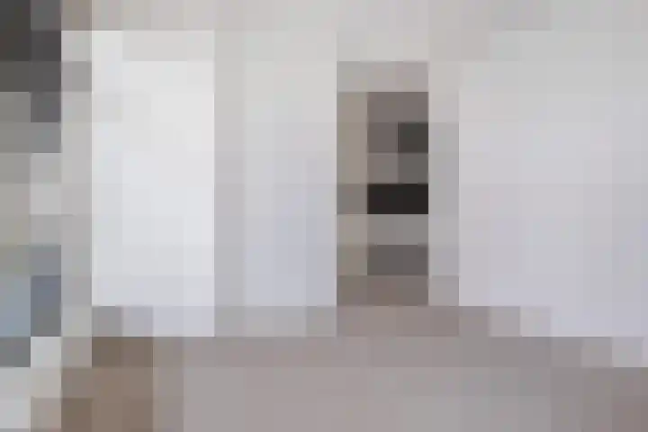 Elfhuizen 3 Dordrecht thumbnail 15