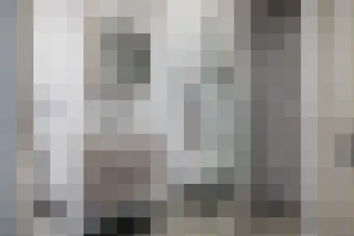 Elfhuizen 3 Dordrecht thumbnail 5