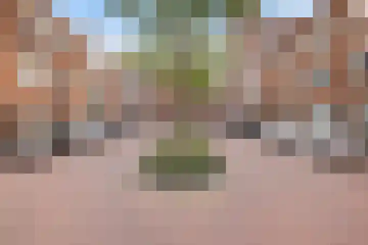 Elfhuizen 3 Dordrecht thumbnail 6