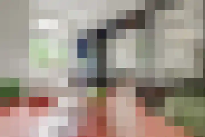 Elfhuizen 4 Geertruidenberg thumbnail 17