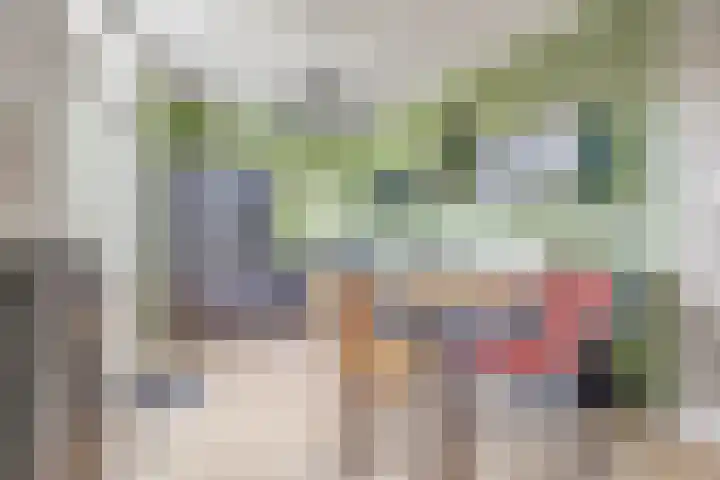 Elfhuizen 4 Geertruidenberg thumbnail 19