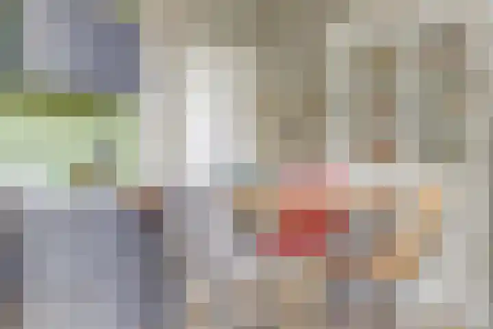 Elfhuizen 4 Geertruidenberg thumbnail 25