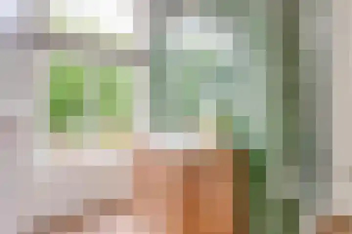Elfhuizen 4 Geertruidenberg thumbnail 32