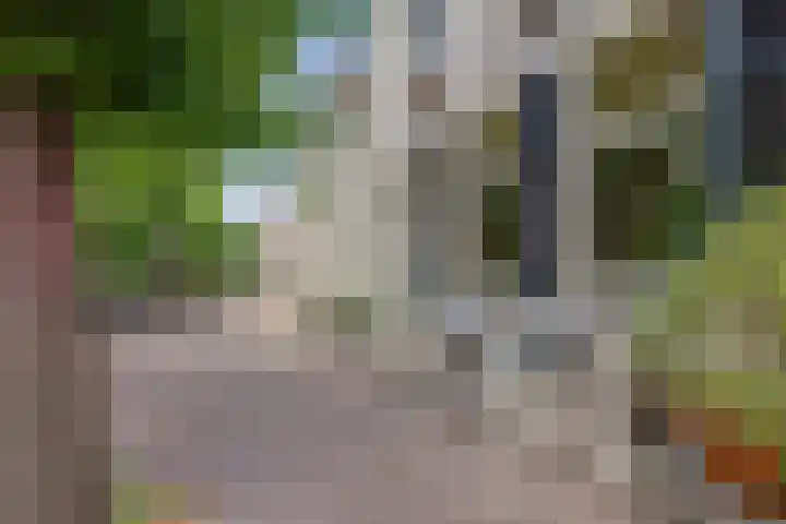 Elfhuizen 4 Geertruidenberg thumbnail 46