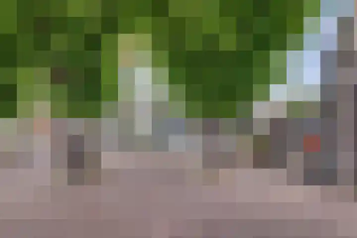 Elfhuizen 4 Geertruidenberg thumbnail 5