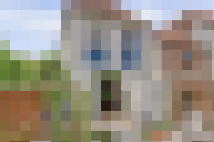 Elfhuizen 4 Geertruidenberg thumbnail 51