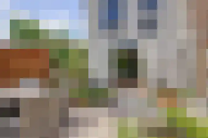 Elfhuizen 4 Geertruidenberg thumbnail 53