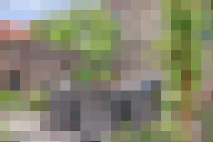 Elfhuizen 4 Geertruidenberg thumbnail 54
