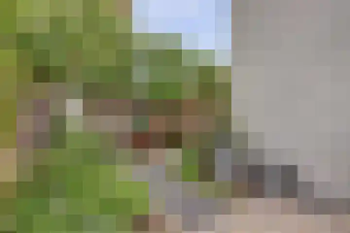 Elfhuizen 4 Geertruidenberg thumbnail 55