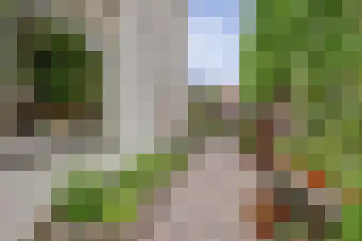 Elfhuizen 4 Geertruidenberg thumbnail 56