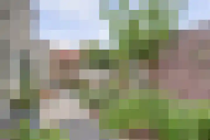 Elfhuizen 4 Geertruidenberg thumbnail 58