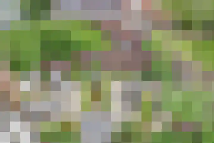 Elfhuizen 4 Geertruidenberg thumbnail 59