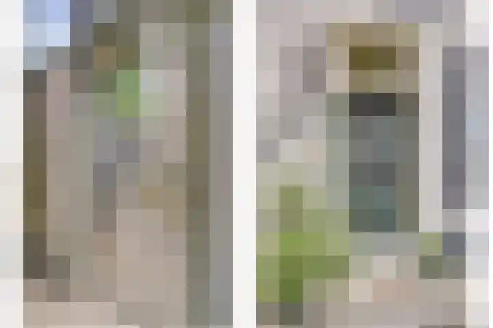 Elfhuizen 4 Geertruidenberg thumbnail 6