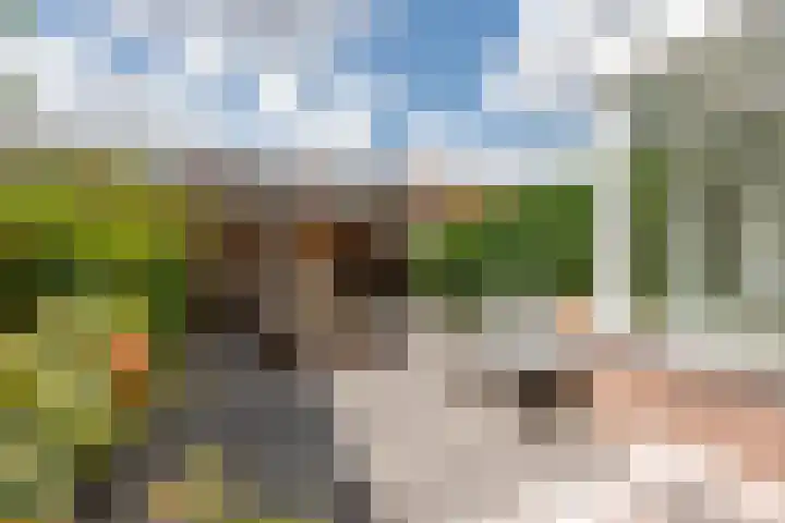 Elfstedenstraat 27 Rotterdam thumbnail 17