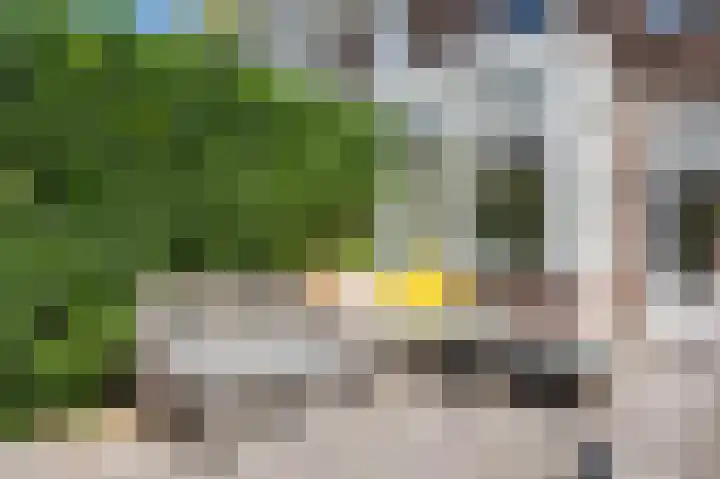 Elfstedenstraat 27 Rotterdam thumbnail 18