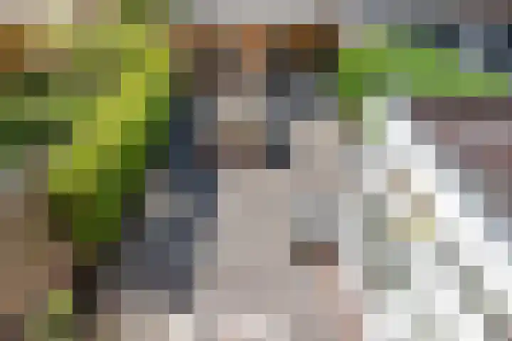 Elfstedenstraat 27 Rotterdam thumbnail 20