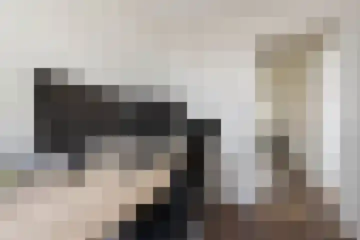 Elfstedenstraat 27 Rotterdam thumbnail 30