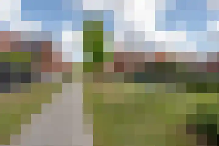 Elfstedenstraat 27 Rotterdam thumbnail 38