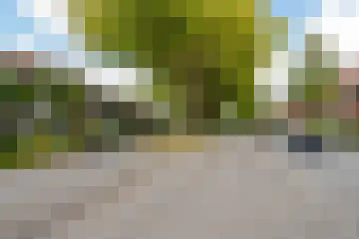 Elfstedenstraat 27 Rotterdam thumbnail 41