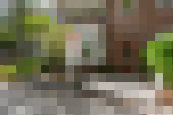 Elfstedenstraat 27 Rotterdam thumbnail 6