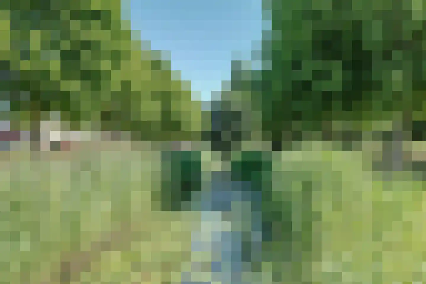 Elft 12 Avenhorn thumbnail 38