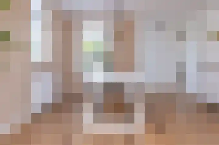 Elft 2 Hippolytushoef thumbnail 10