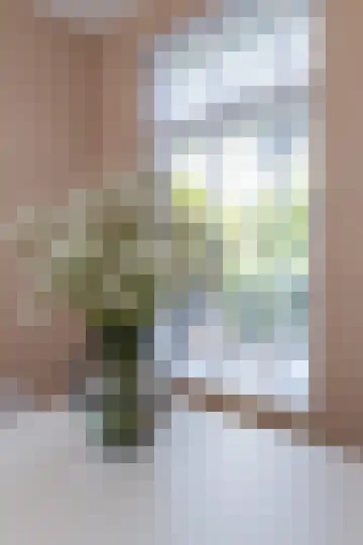 Elft 2 Hippolytushoef thumbnail 11