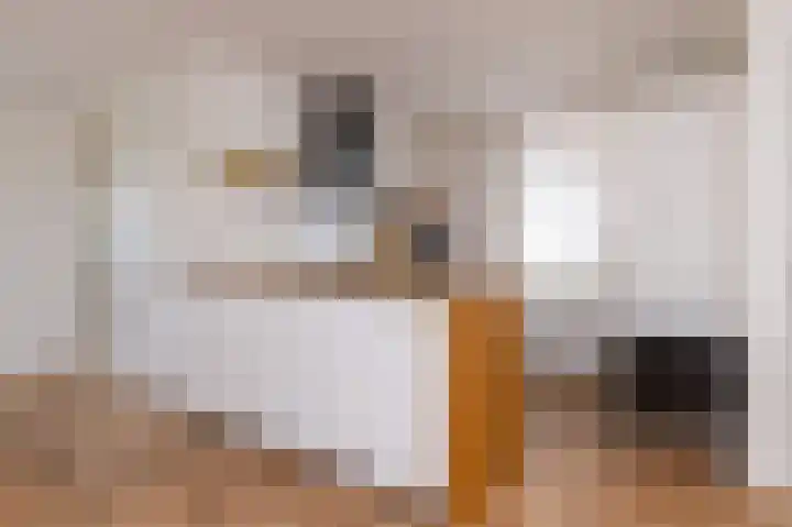 Elft 2 Hippolytushoef thumbnail 12