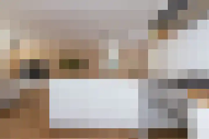 Elft 2 Hippolytushoef thumbnail 13