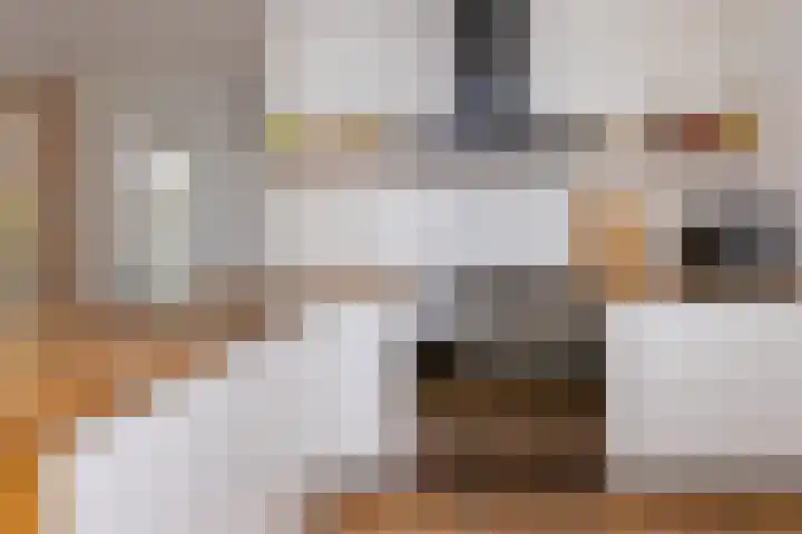 Elft 2 Hippolytushoef thumbnail 14