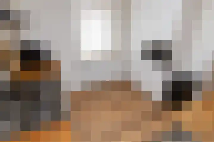 Elft 2 Hippolytushoef thumbnail 15