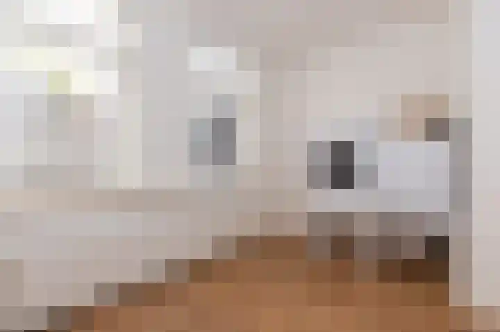 Elft 2 Hippolytushoef thumbnail 18