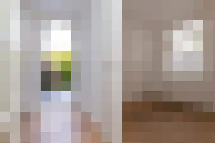 Elft 2 Hippolytushoef thumbnail 20