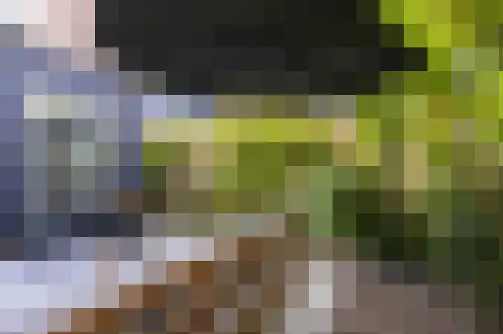 Elft 2 Hippolytushoef thumbnail 22