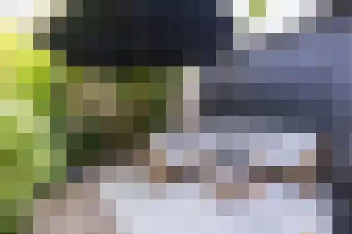 Elft 2 Hippolytushoef thumbnail 23