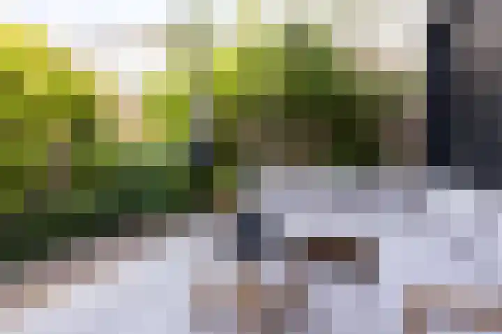 Elft 2 Hippolytushoef thumbnail 24