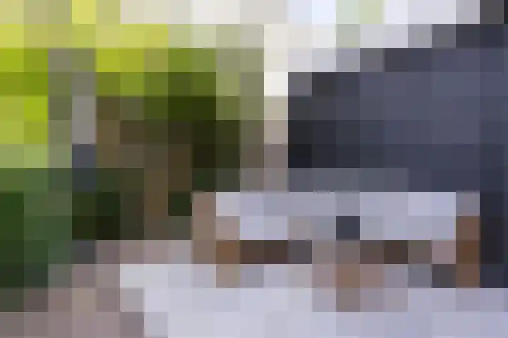 Elft 2 Hippolytushoef thumbnail 25