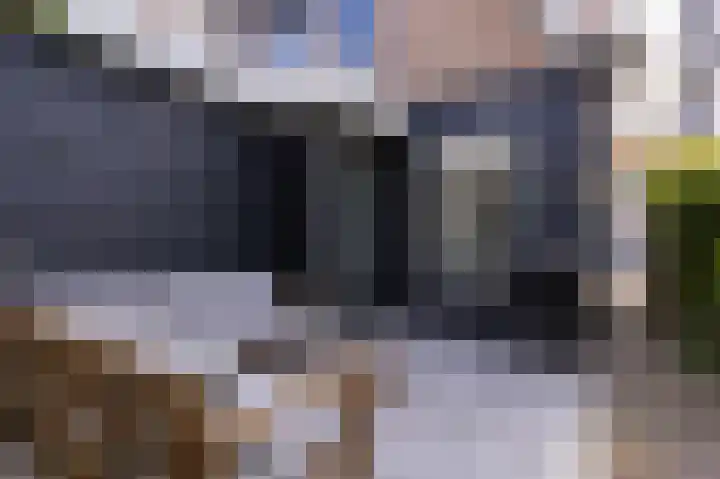 Elft 2 Hippolytushoef thumbnail 27