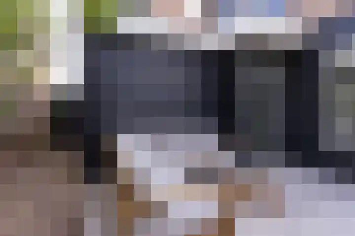 Elft 2 Hippolytushoef thumbnail 28