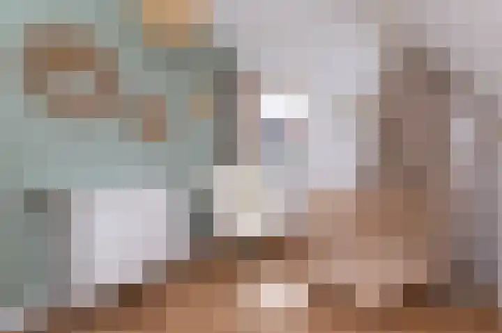 Elft 2 Hippolytushoef thumbnail 31