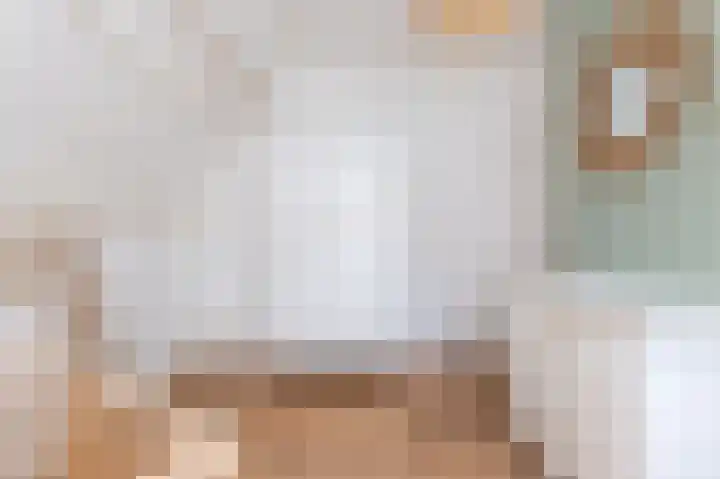 Elft 2 Hippolytushoef thumbnail 33