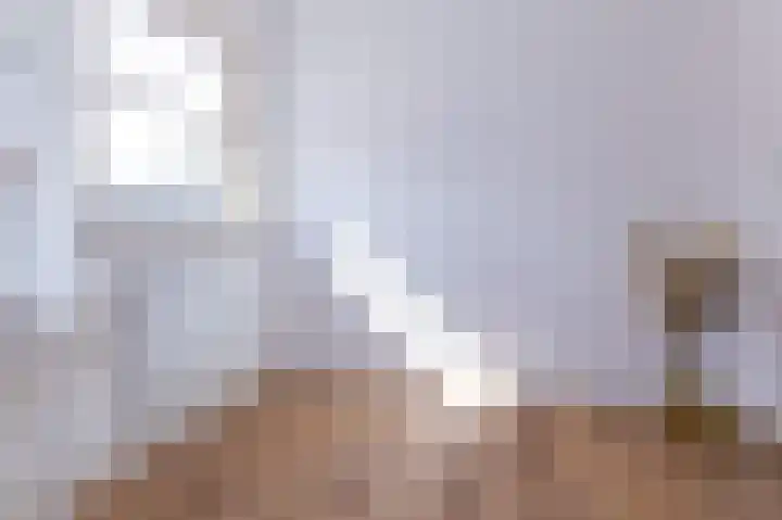 Elft 2 Hippolytushoef thumbnail 39