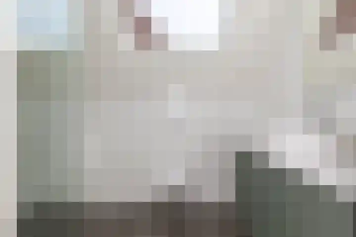 Elft 2 Hippolytushoef thumbnail 40
