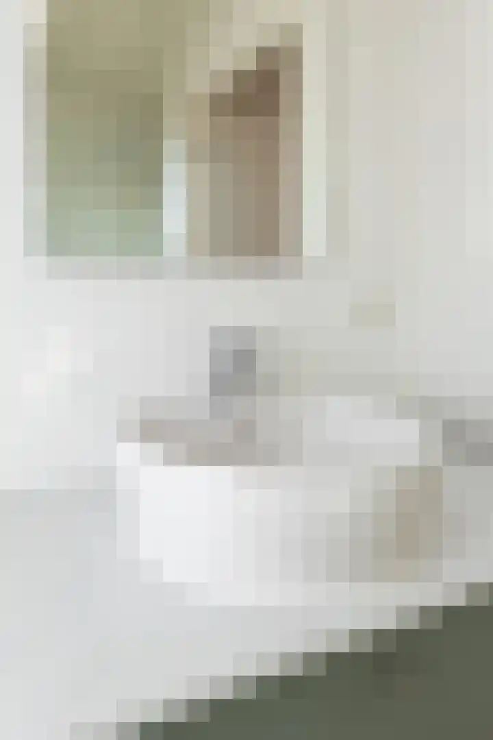 Elft 2 Hippolytushoef thumbnail 41